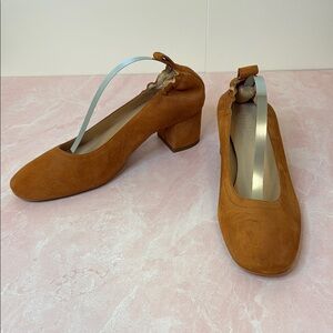 Everlane Suede Block Heel Pumps in Rust